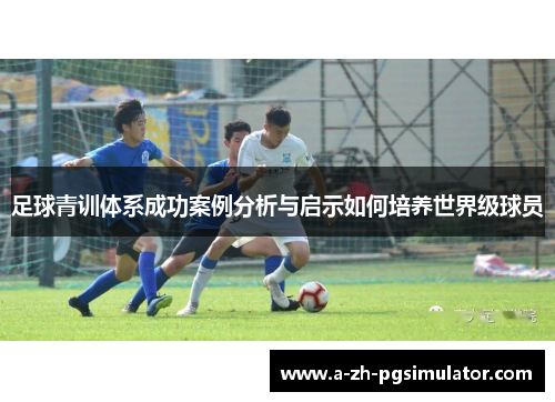 足球青训体系成功案例分析与启示如何培养世界级球员