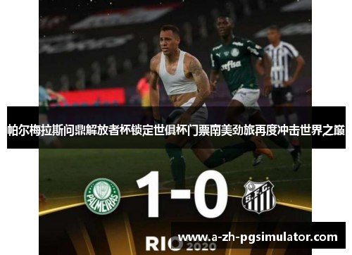 帕尔梅拉斯问鼎解放者杯锁定世俱杯门票南美劲旅再度冲击世界之巅