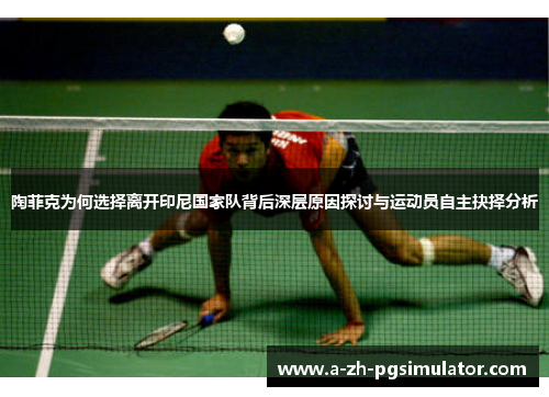 陶菲克为何选择离开印尼国家队背后深层原因探讨与运动员自主抉择分析